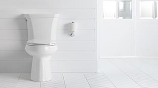 Bathroom Toilets and toilet replacement